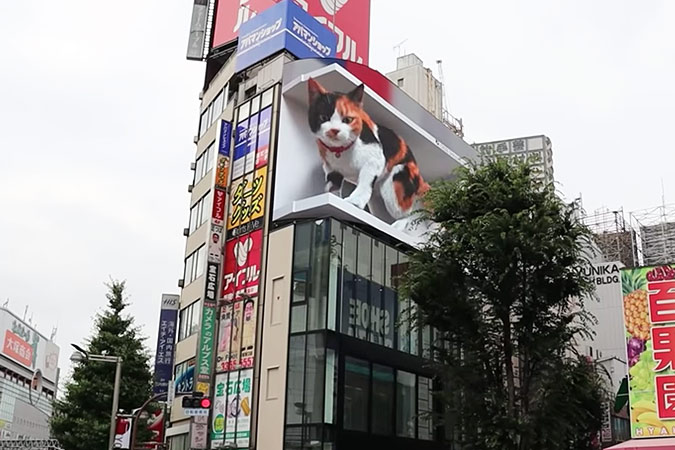 ad-tech-giant-cat