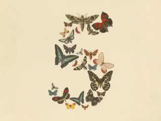 Anthropic-Fable-AI