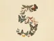 Anthropic-Fable-AI